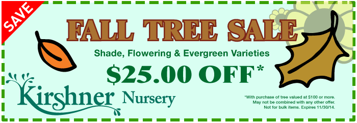 Click to print coupon Kirshner Coupon