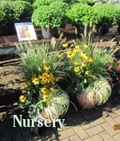 kirshner nursey